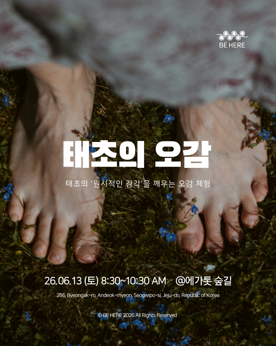 태초의 오감